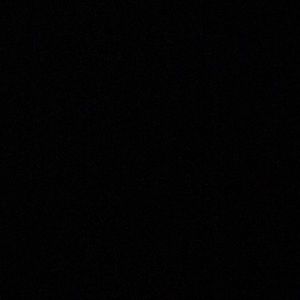 Meet your Posher, Chamichael